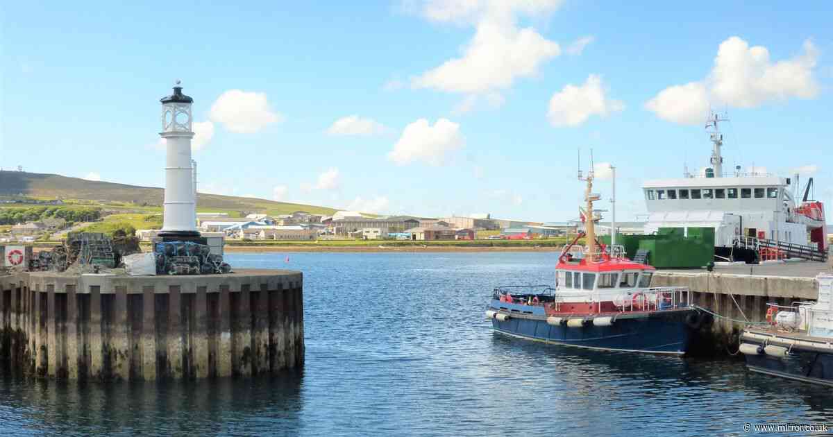 Man's body found in harbour during early morning search as police launch investigation into mystery
