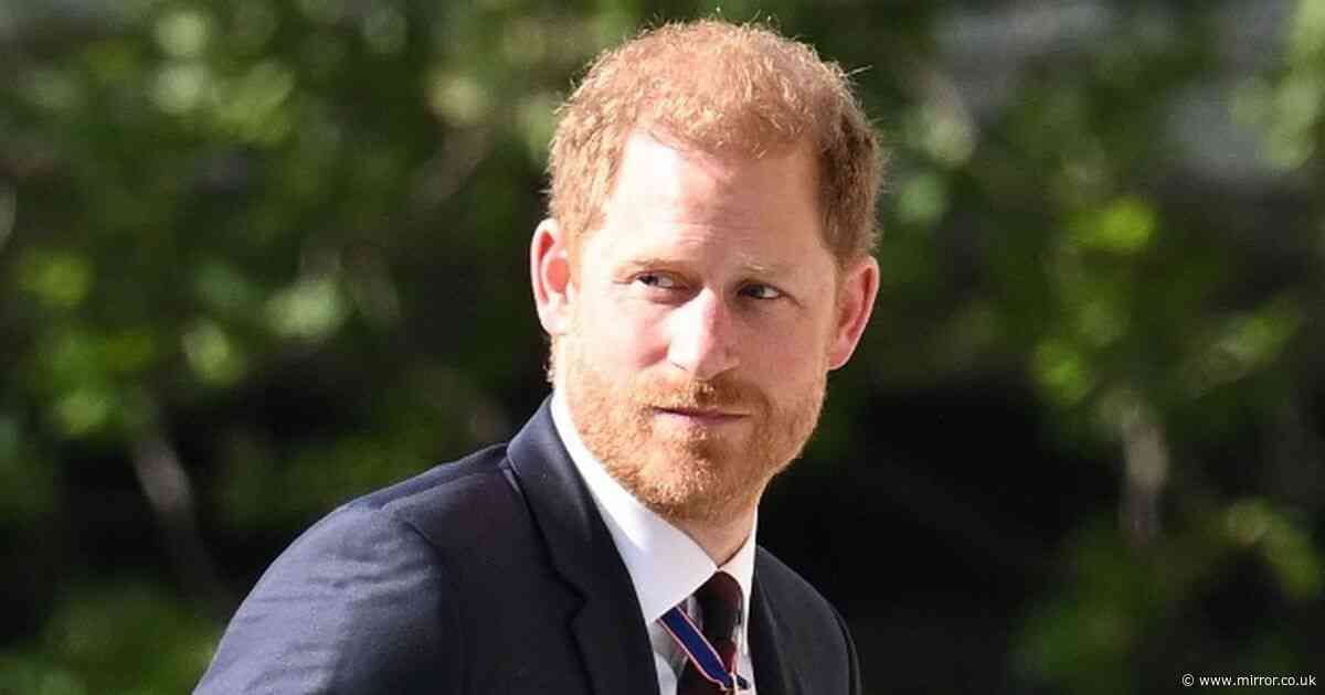 Prince Harry wears medal 'awarded for service to the monarchy' after King Charles snub
