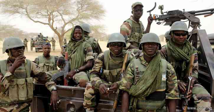Reps want military joint taskforce to flush out criminals in Niger