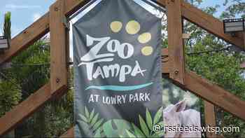 ZooTampa is first zoo in the state to receive NWS StormReady designation