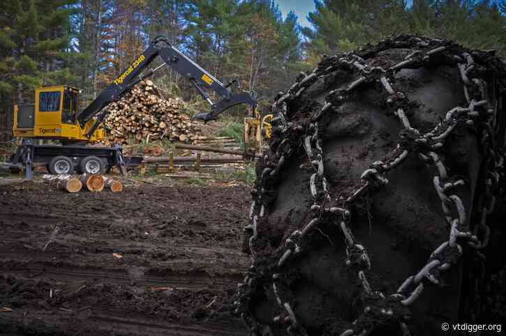 Bill that would crack down on timber theft passes out of Senate