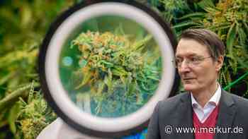 Ampel will Cannabis-Gesetz verschärfen: Verein prophezeit „Klagewelle“