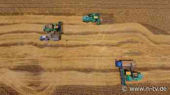 Einbruch bei Getreideernte: Mai-Frost in Russland hat "katastrophale Folgen"