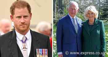 Real reason Prince Harry won't meet King Charles laid bare - and it's not a diary clash