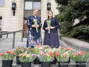 ‘It couldn't have come at a better time': The Ottawa Hospital receives 100 bouquets of tulips from Embassy of The Netherlands