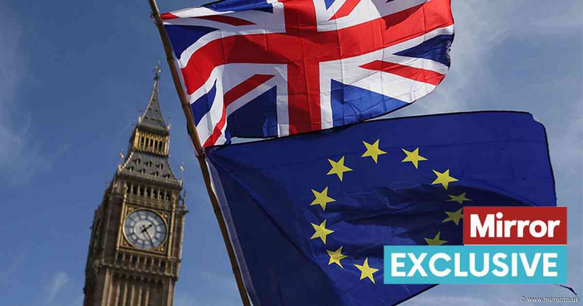 Megapoll finds half of voters want better relations between UK and EU