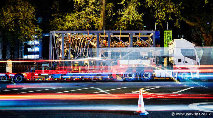 Overnight delivery for the Natural History Museum’s new Diplodocus skeleton