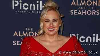 Rebel Wilson was living on '$60 a week' in Los Angeles before Bridesmaids breakout: 'That was a really skint year'