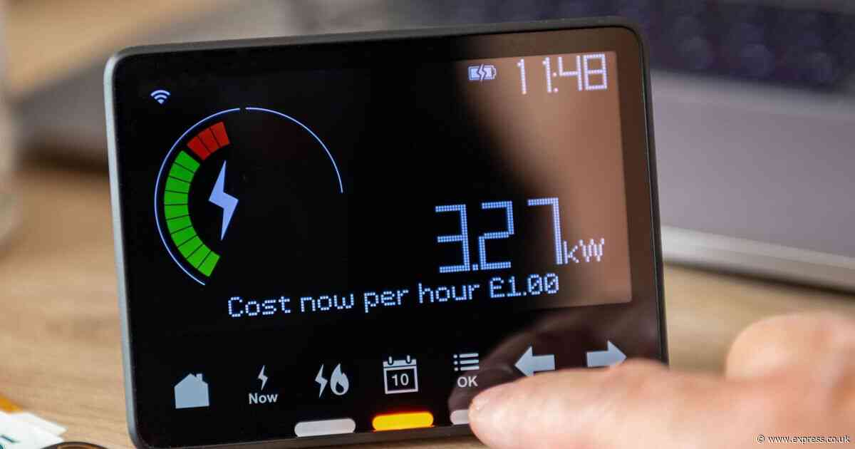 British Gas smart meter 'mandatory' roll out move would make major change to every UK home
