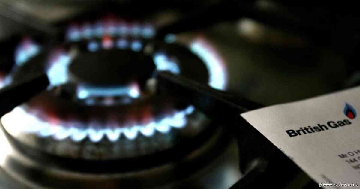 British Gas and E.On bosses call for 'progressive social tariff' on energy bills