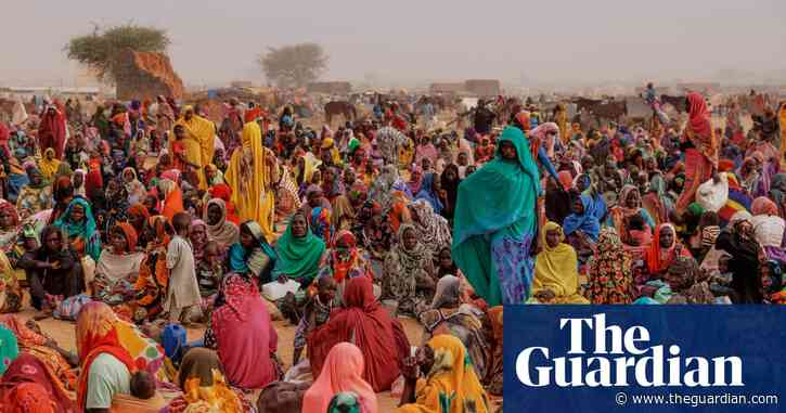 Children ‘piled up and shot’: new details emerge of ethnic cleansing in Darfur
