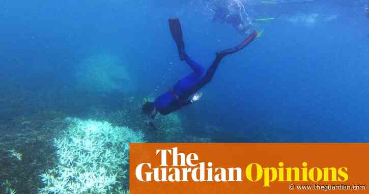 I weep for the corals, but what I saw on the Great Barrier Reef gives me hope |  Kerrie Foxwell-Norton