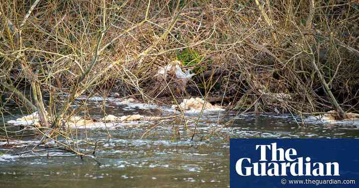 England’s rivers to remain in poor state as EU laws ignored post-Brexit, says watchdog