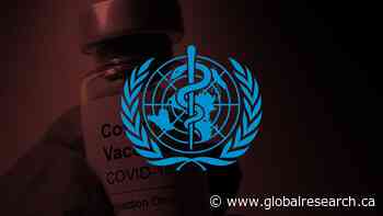 WHO Pandemic Treaty’s Global Power Grab in May 2024