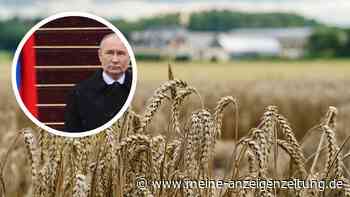 Russland erwartet riesige Verluste bei Getreideernte nach Frostnächten: „Katastrophale Folgen“