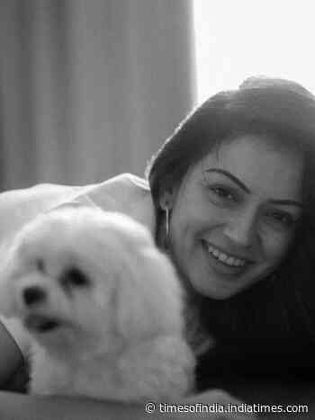Hansika's adorable moments with her furry friend