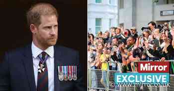 Prince Harry felt a sense of 'wariness and anxiety' as he met with crowds after Royal Family snub