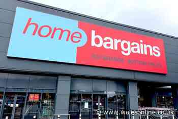 Home Bargains shoppers buzzing as store announces popular item now back in stock