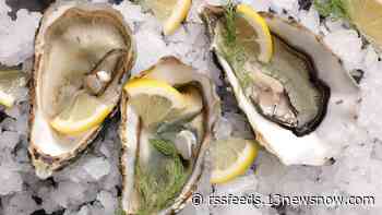 Dockside Seafood Feast returns to Hampton History Museum