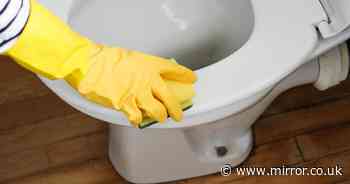 'Magic' 37p item removes yellow stains from toilet seats in seconds