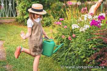 Common poisonous plants to keep away from children