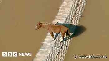 Horse stranded on rooftop and airport floods in Brazil
