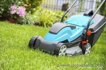 Experts urge gardeners not make lawn mowing mistake that can 'damage' your grass
