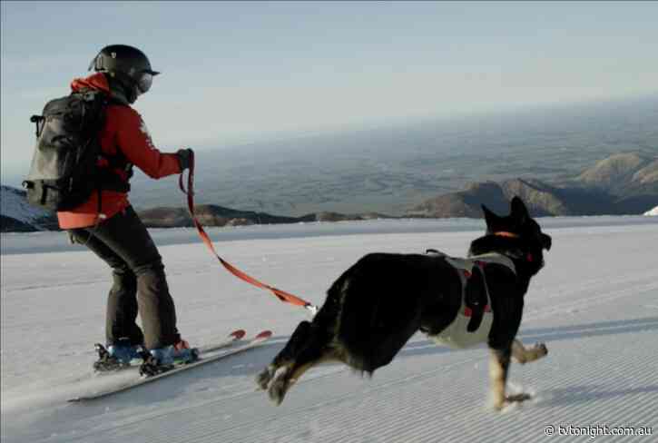 Airdate: Ski Rescue Down Under