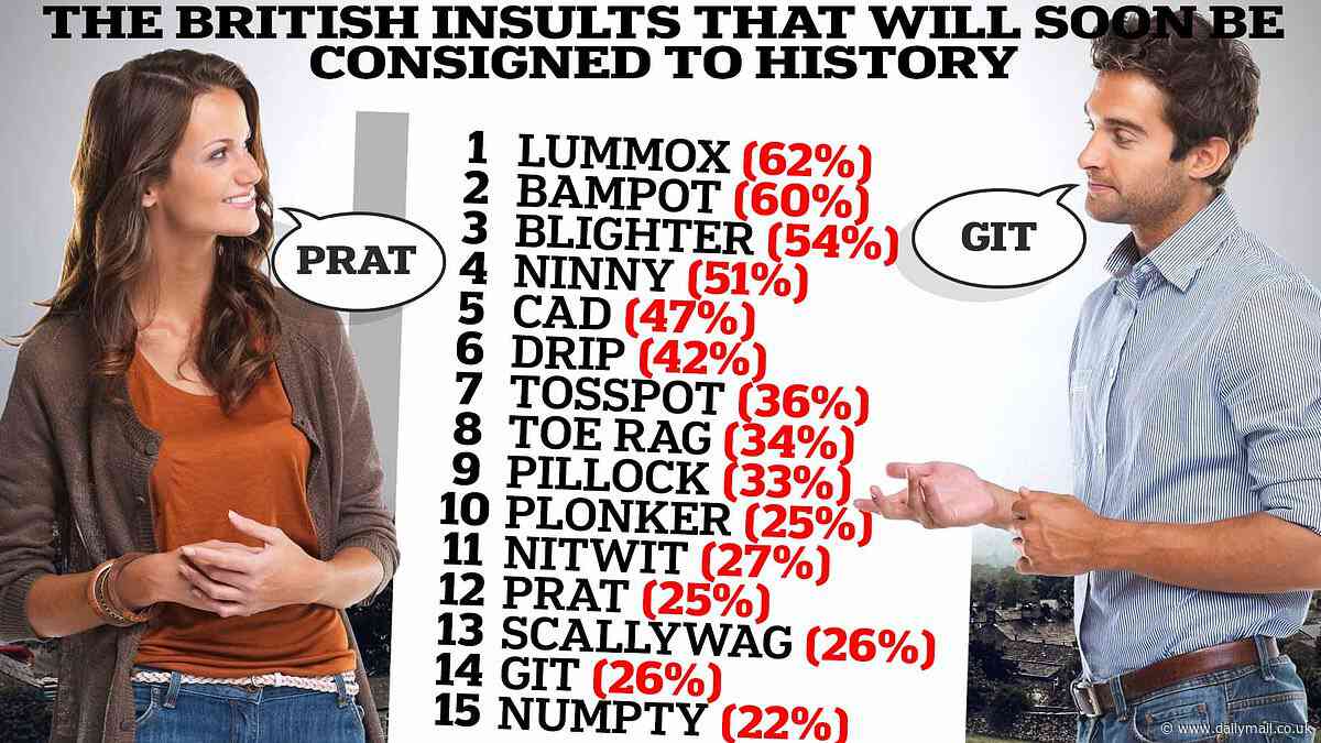 Britain's traditional slang insults are at risk of dying out, it has been revealed - see how many YOU know and use in our interactive quiz