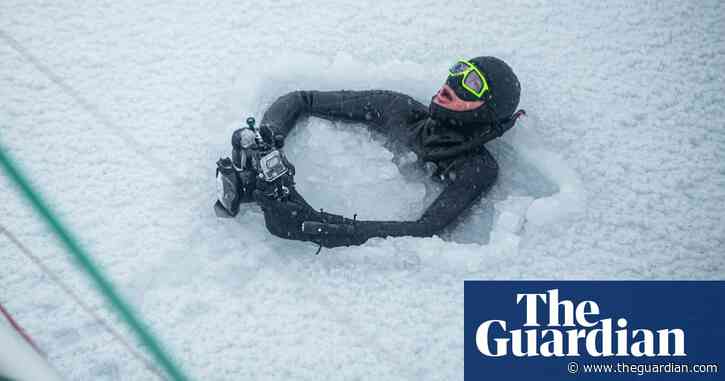 Ice dives, walrus snaps and whale encounters: the man telling extreme stories of an Arctic at risk