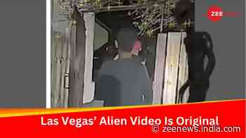Ghost Or Alien? Expert Certifies Las Vegas Family's Alien Encounter Video As Authentic