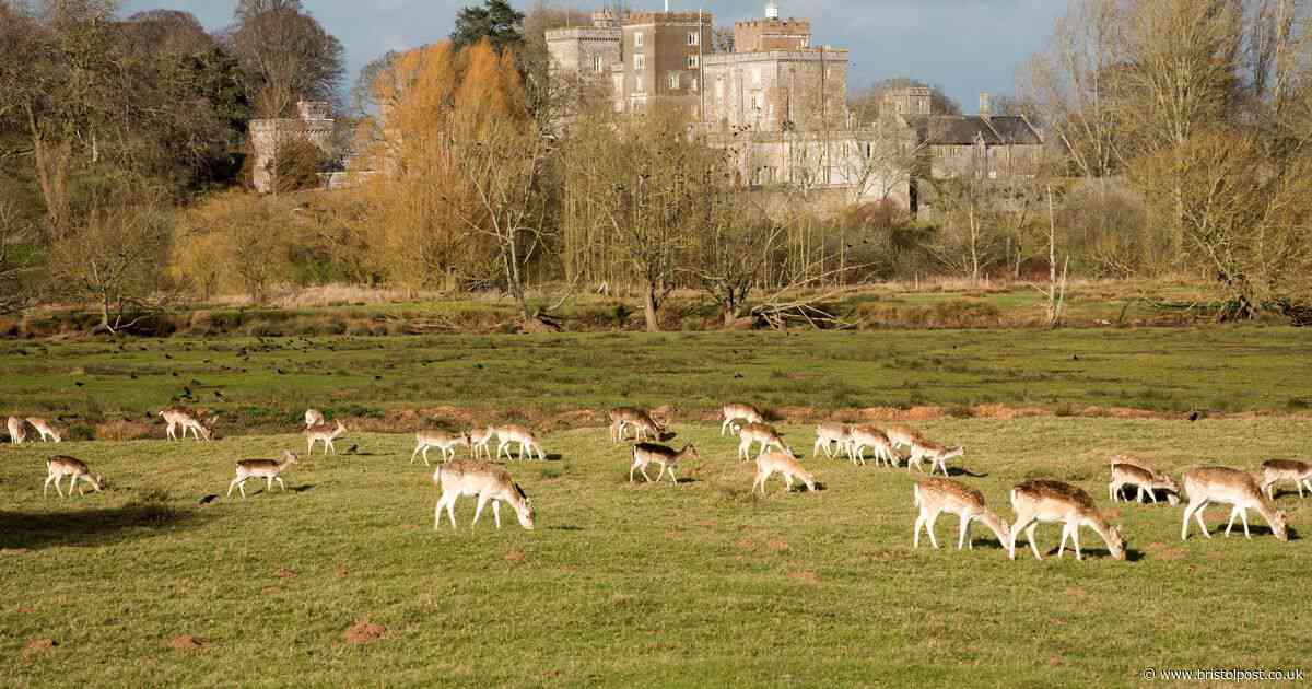 Walkers to strip naked for ramble in castle grounds