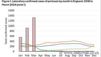 Five newborn babies die in spiralling whooping cough outbreak: Cases of '100 day cough' in 2024 are already three times higher than whole of last year, as post-Covid vaccine scepticism is blamed