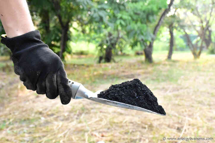 Biochar expert stresses on the importance of practicality in net zero transition
