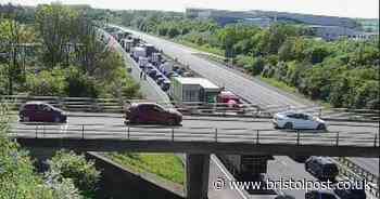 Live M5 updates as escaped animals cause havoc on motorway