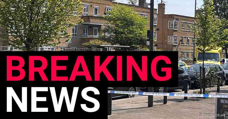 Woman stabbed to death in London street in daytime attack