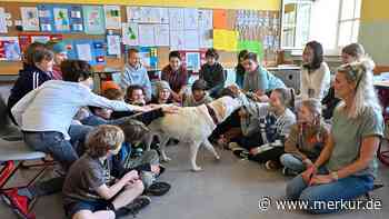 Trostspender auf vier Beinen: Schulhund steht Kindern und Jugendlichen zur Seite
