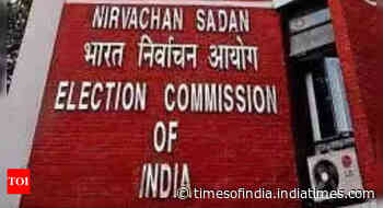 Largest ever global delegation to witness India's general election