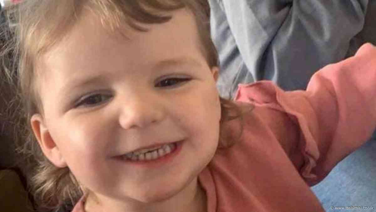 Authorities 'missed opportunities' to help families of two murdered toddlers who were both shaken to death in their homes within three months of each other, report finds