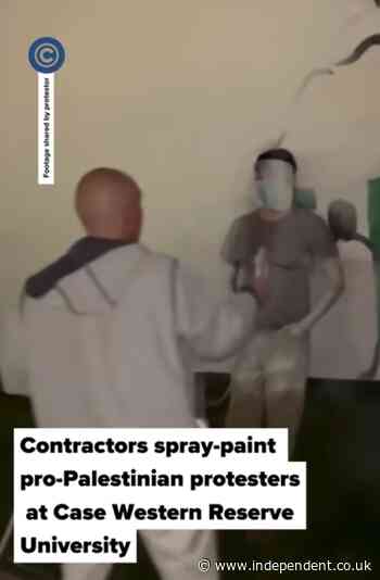 Contractor sprays paint in faces of Gaza college protesters while covering up a pro-Palestine mural