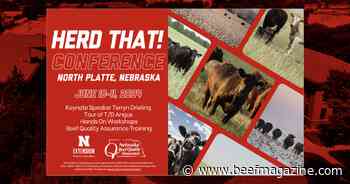 Nebraska Extension’s ‘Herd That!’ conference in North Platte to focus on beef cattle reproduction