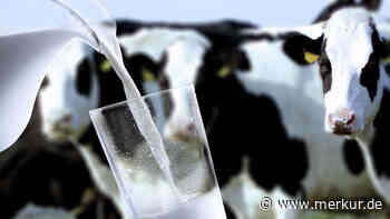 Von Käse bis Joghurt: Alles über Milchprodukte von Fettgehalt bis Herstellung