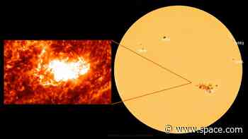 Gargantuan sunspot 15-Earths wide erupts with another colossal X-class solar flare (video)