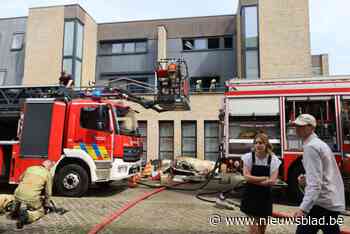 Twee appartementen onbewoonbaar na brand in Dilsen, wasmachine was wellicht de oorzaak