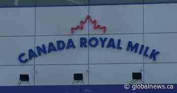 Canada Royal Milk donates $200,000 worth of baby formula to Kingston-area United Way