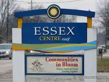 Essex's Tune Up the Parks to proceed with unpaid talent despite upset musicians