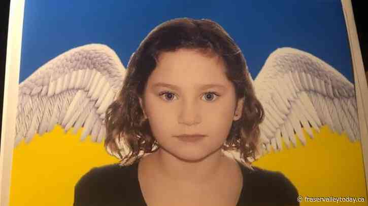 Man pleads guilty in hit-and-run that killed 7-year-old Ukrainian girl in Montreal