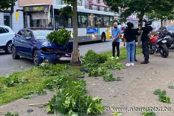 Auto botst tegen boom op kleine ring in Hasselt