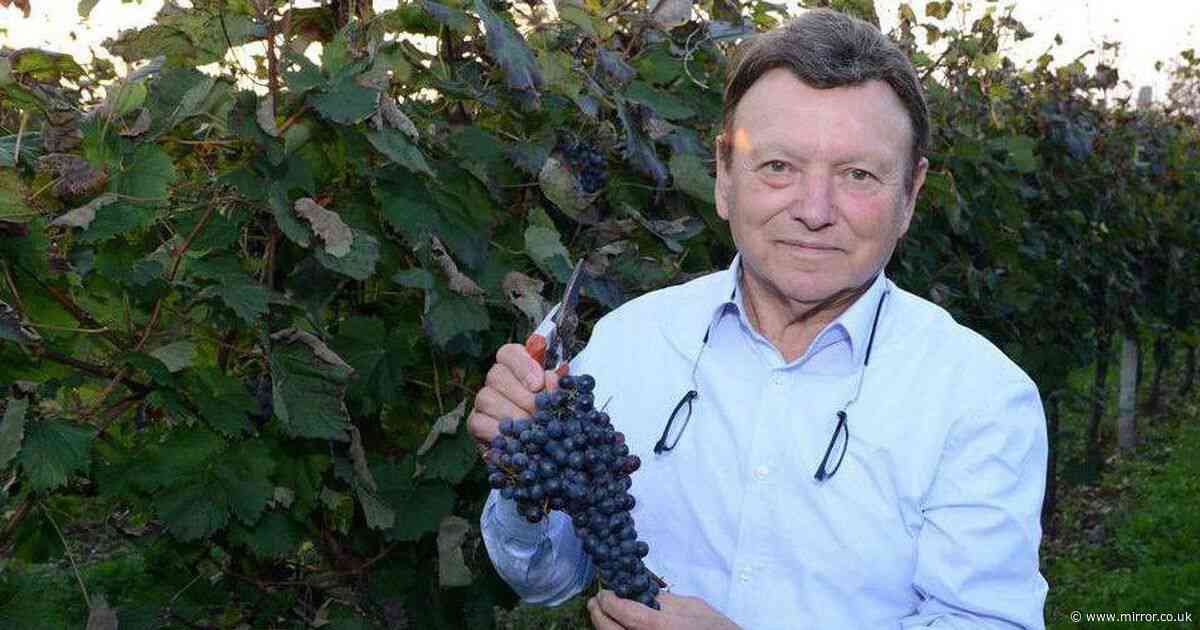Vineyard workers stunned after boss dies and leaves them entire winery in his will