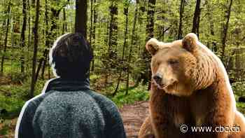 How the 'man vs. bear' trend exposes troubling issues (Hint: It's not about the bear)